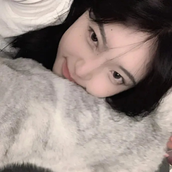 灵书妙探第二季